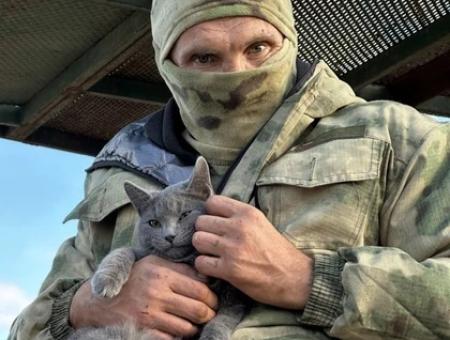 Barmaley the cat became the mascot of the military from the South group in the special military operation zone.